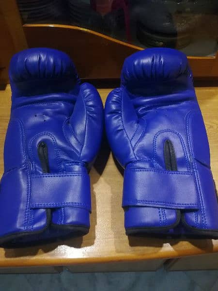 boxing gloves 4
