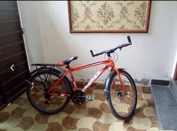 26 inch Caspian Bicycle 7