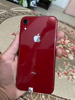 iphone xr in olx