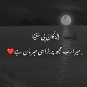 Adil Malik