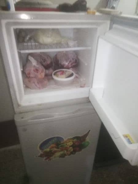 fridge medium size 0