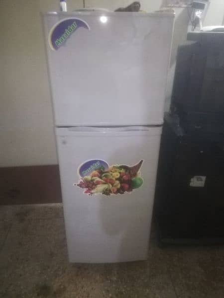 fridge medium size 2