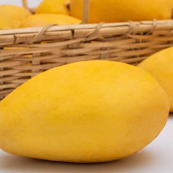 mangoes 0