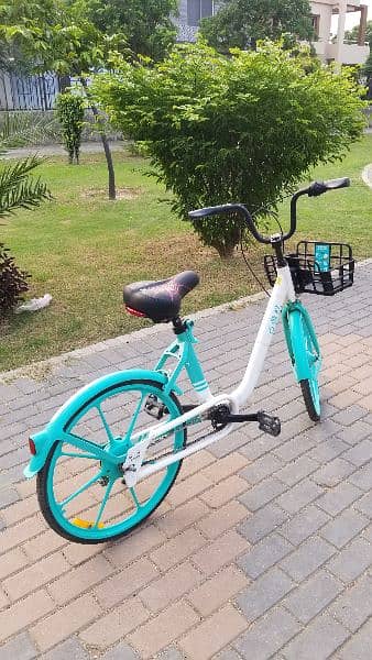European Style Cycle for Girls and Boys | Bicycle for sale in Lahore 2