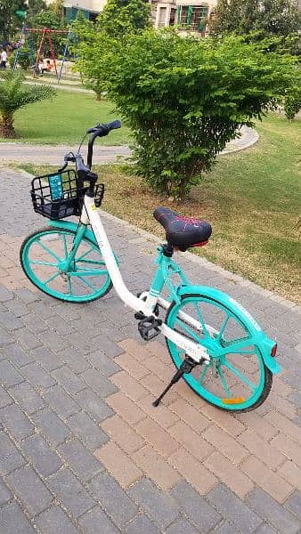European Style Cycle for Girls and Boys | Bicycle for sale in Lahore 3