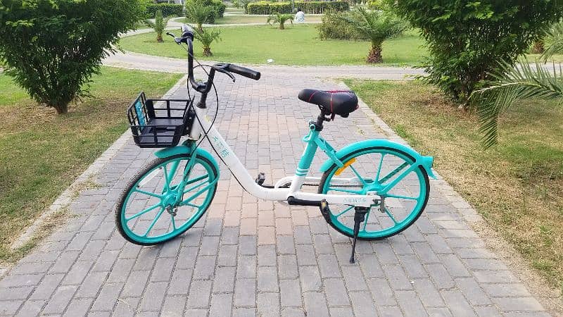 European Style Cycle for Girls and Boys | Bicycle for sale in Lahore 4