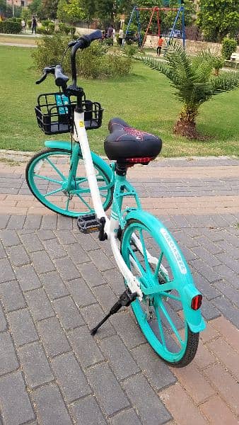European Style Cycle for Girls and Boys | Bicycle for sale in Lahore 5