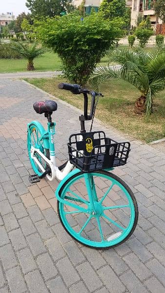 European Style Cycle for Girls and Boys | Bicycle for sale in Lahore 6