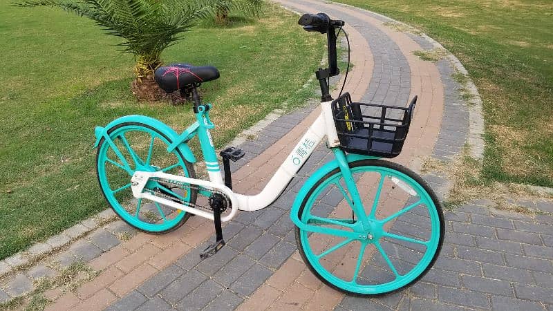 European Style Cycle for Girls and Boys | Bicycle for sale in Lahore 8