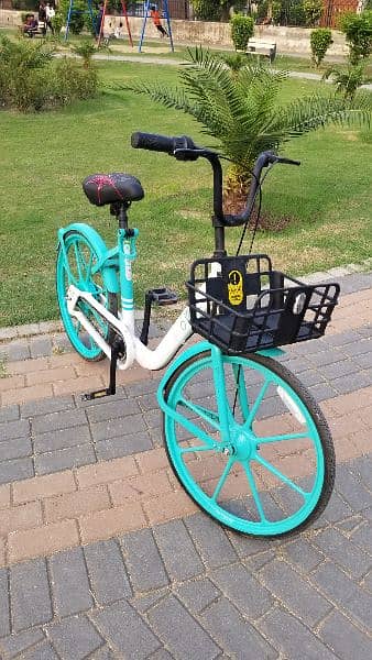 European Style Cycle for Girls and Boys | Bicycle for sale in Lahore 7