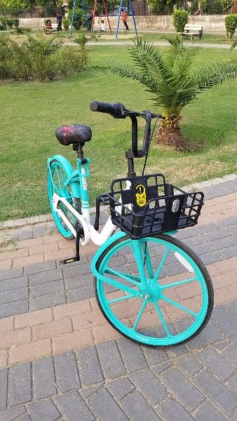 European Style Cycle for Girls and Boys | Bicycle for sale in Lahore 10