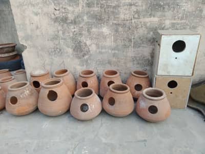 10 kujay for sale. Size is big