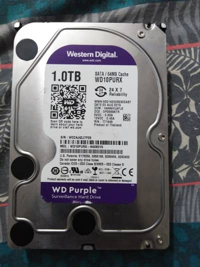 1 TB western Digital Hard