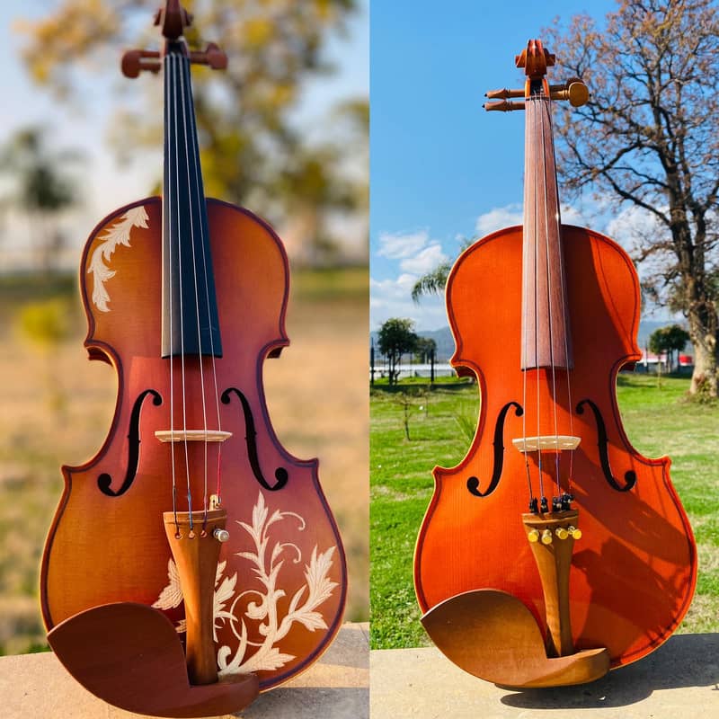 Guitars | Violins | Ukuleles (Music Lesson ) Musical Instruments 2