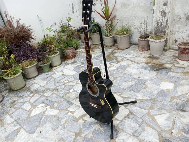 Brand New Acoustic Guitar Black 9
