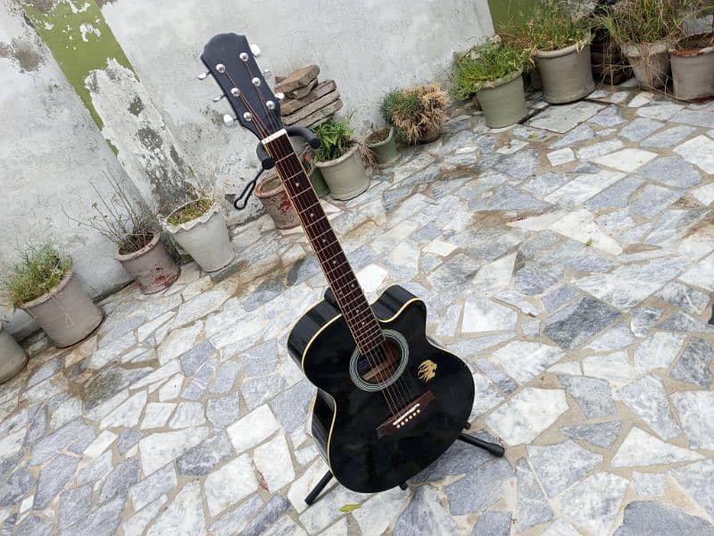 Brand New Acoustic Guitar Black 18