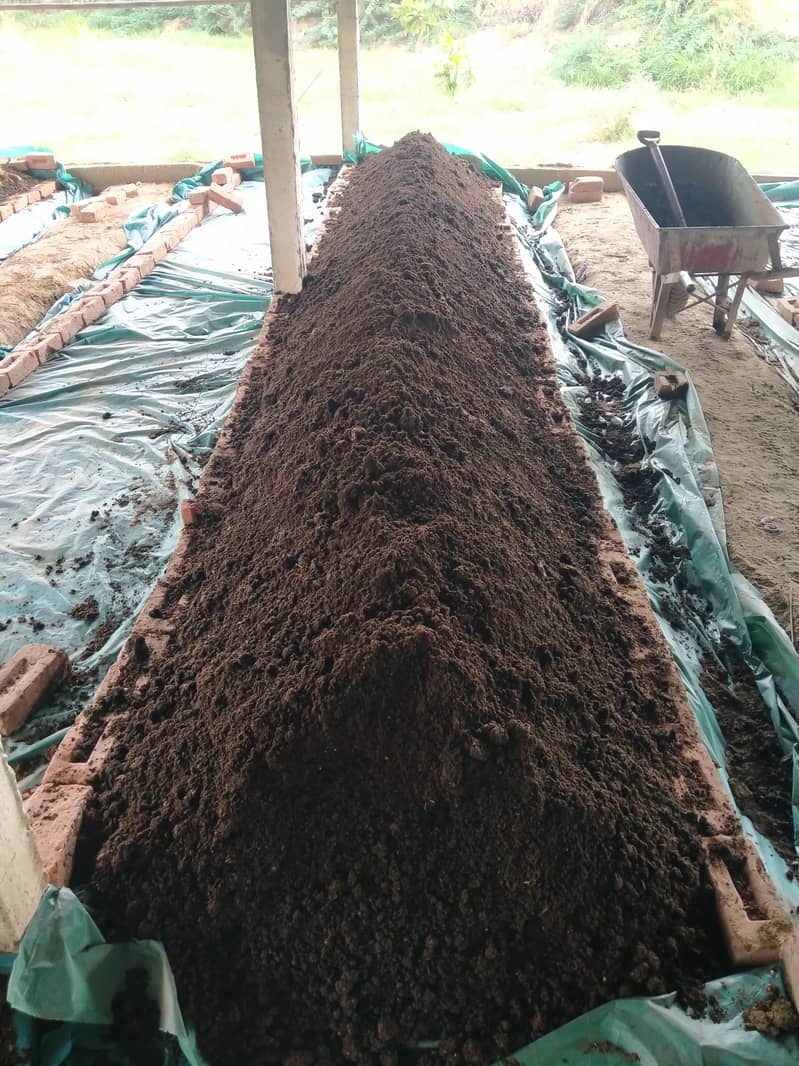 Vermicompost - Organic Fertilizer 0