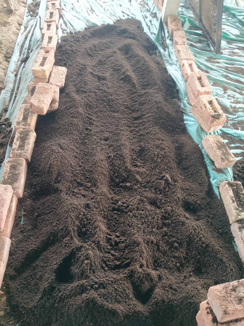 Vermicompost - Organic Fertilizer 1