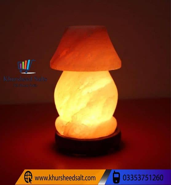 Himalayan pink rock salt lamp with bulb and pakistani power cord 3