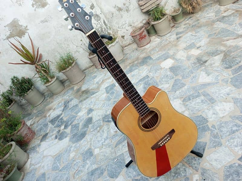 Semi Acoustic Guitar 4