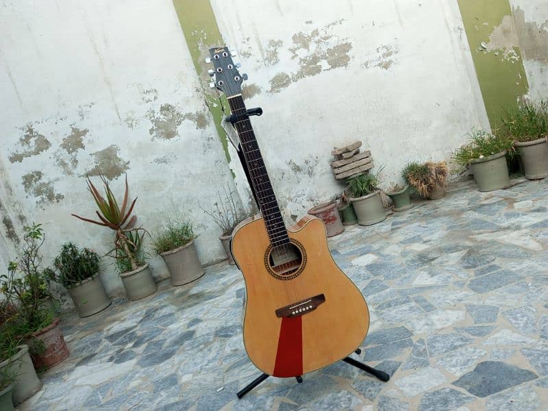 Semi Acoustic Guitar 10