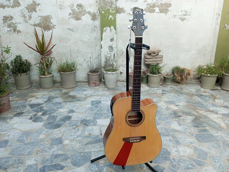 Semi Acoustic Guitar 12