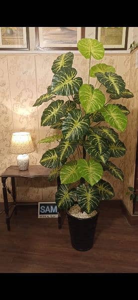 Planets indoor Artificial plants, Planters, Lamps 5