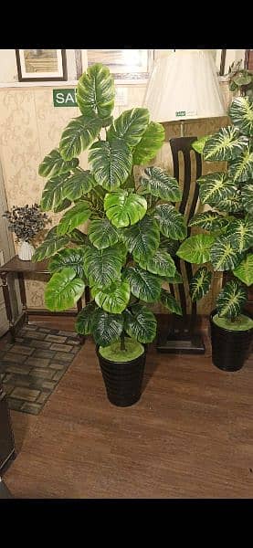 Planets indoor Artificial plants, Planters, Lamps 8