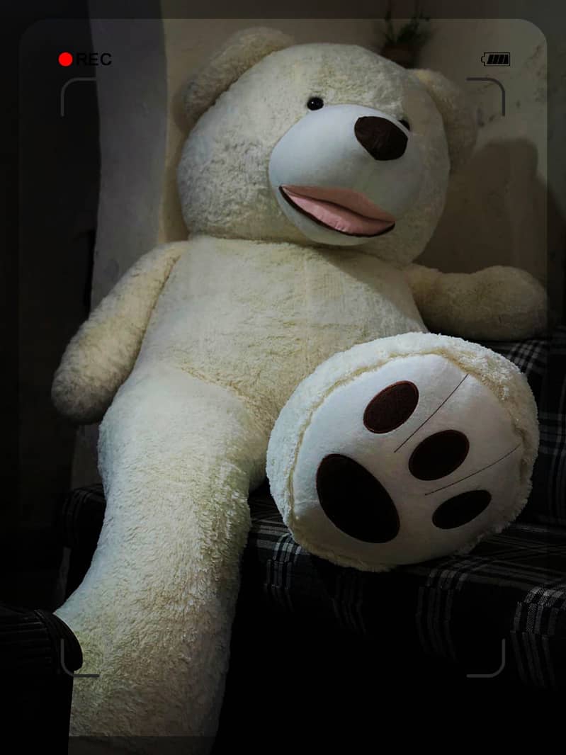 3 Feet, 5 Feet, and 6 Feet Teddy Bears for Sale 2