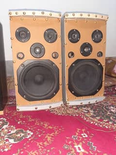 speakers woofer type