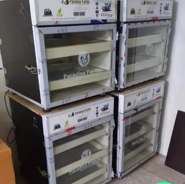 eggs incubator fully automatic available — photo 7