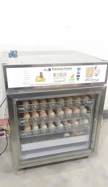 Paradise Farms Eggs Incubators,Brooders and Hatchries 5