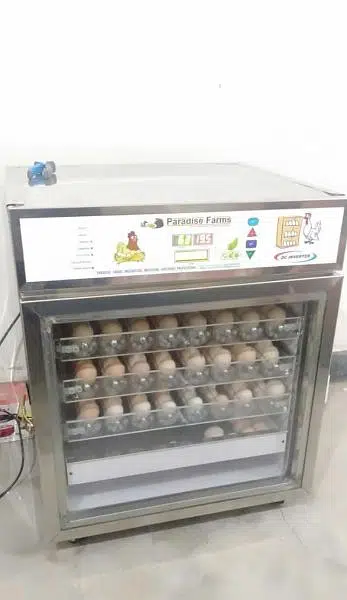 eggs incubator fully automatic available — photo 8
