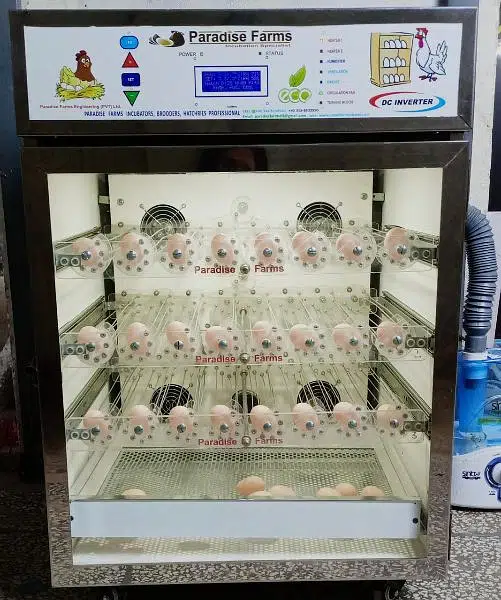 eggs incubator fully automatic available
