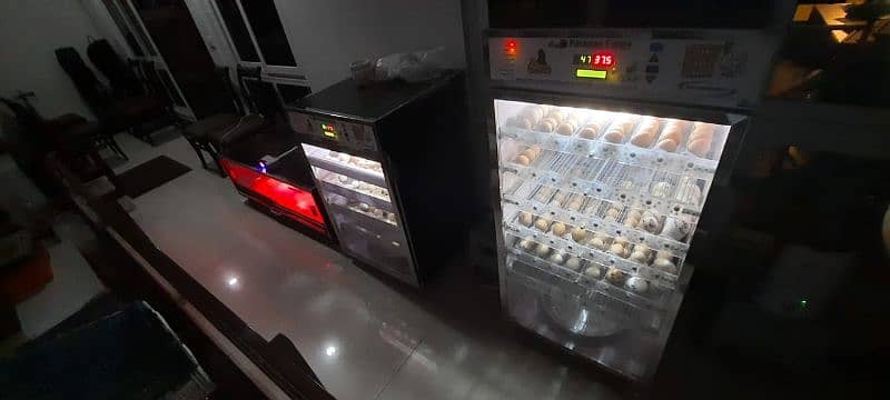 Paradise Farms Eggs Incubators,Brooders and Hatchries 12