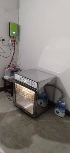 Paradise Farms Eggs Incubators,Brooders and Hatchries 14