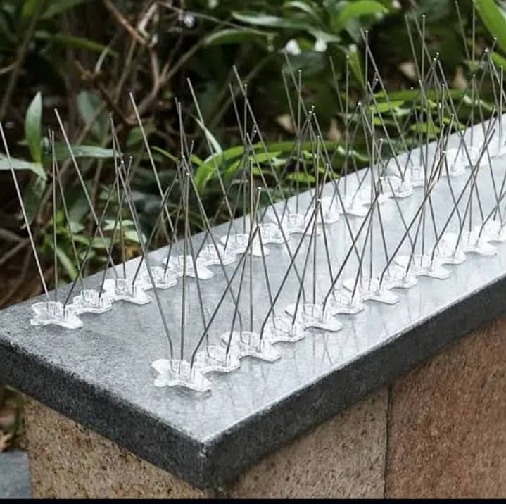 (High Quality) Birds spikes anti birds in home 100% solution. 5
