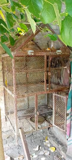 Bird cage 3 section available