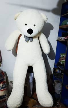Tedy  bear gaint size tedy different colours and sizes available