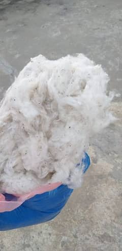 Pure Cotton High quality 30kg 0
