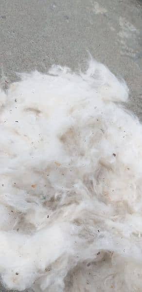 Pure Cotton High quality 30kg 5