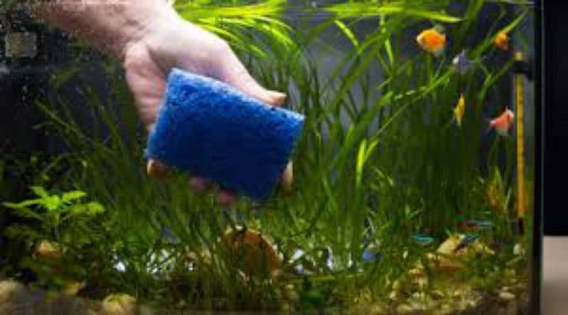 Best Aquarium Cleaning Services And Maintenance Available !!! 2