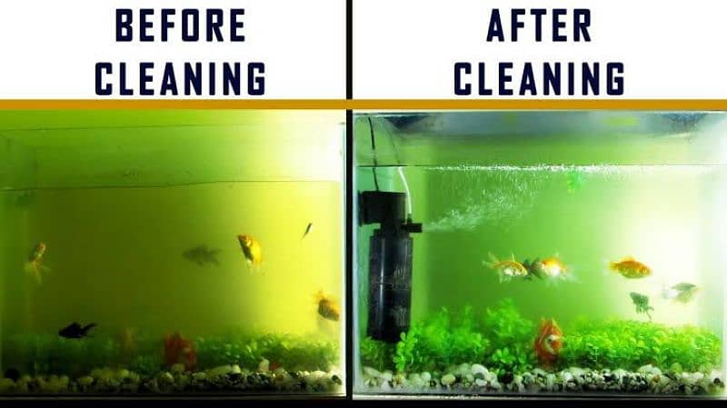 Best Aquarium Cleaning Services And Maintenance Available !!! 4
