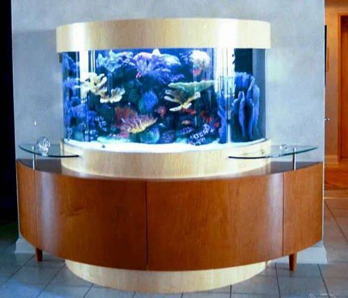Best Aquarium Cleaning Services And Maintenance Available !!! 6
