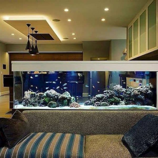 Best Aquarium Cleaning Services And Maintenance Available !!! 7