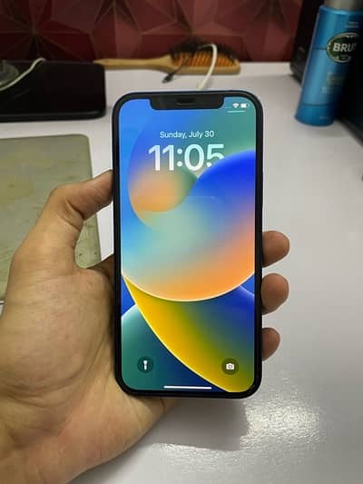 iPhone 12