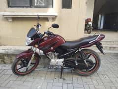 Yamaha YBR 125 for sale