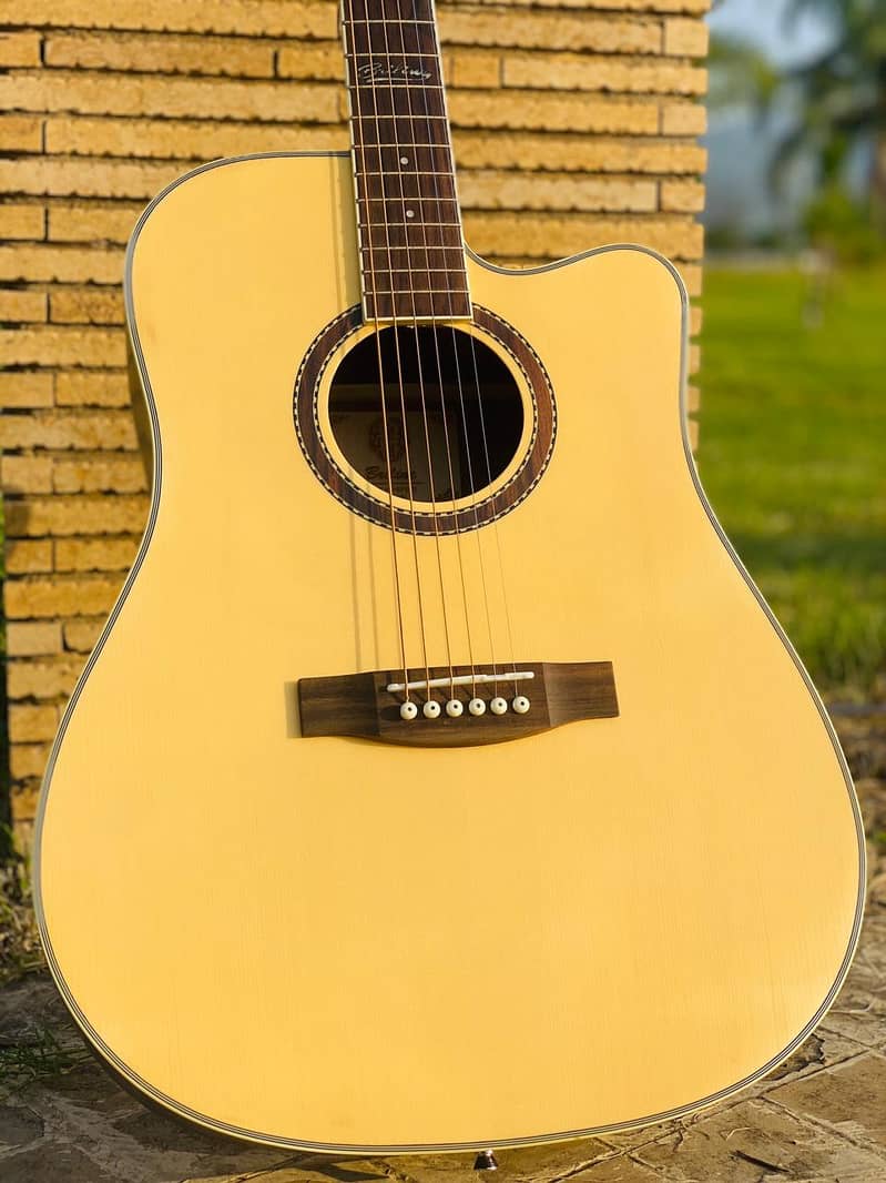 Yamaha Fender Taylor Tagima Deviser brand guitars & violins ukuleles 1