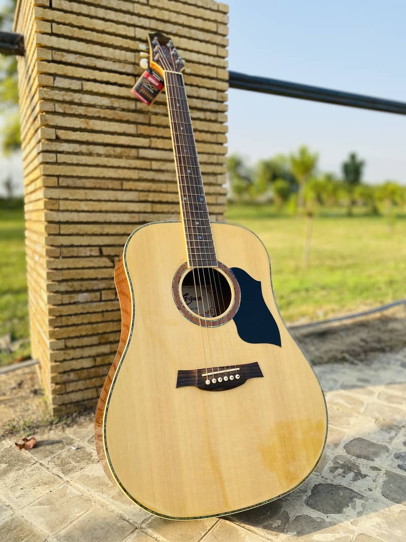 Yamaha Fender Taylor Tagima Deviser brand guitars & violins ukuleles 8