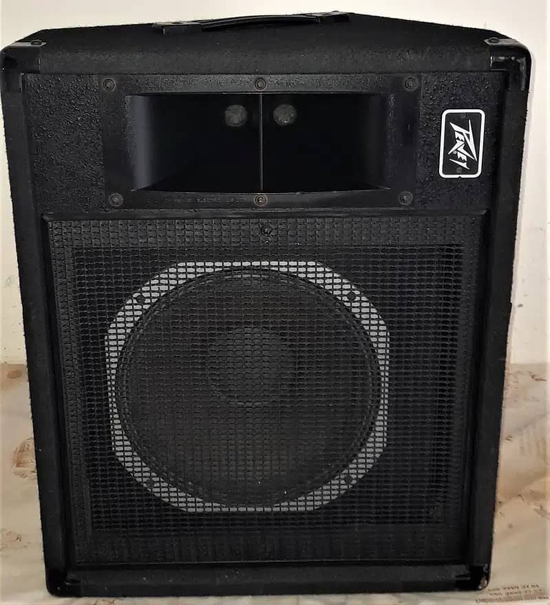 PEAVY Stage powered Monitor ( Single ) 0